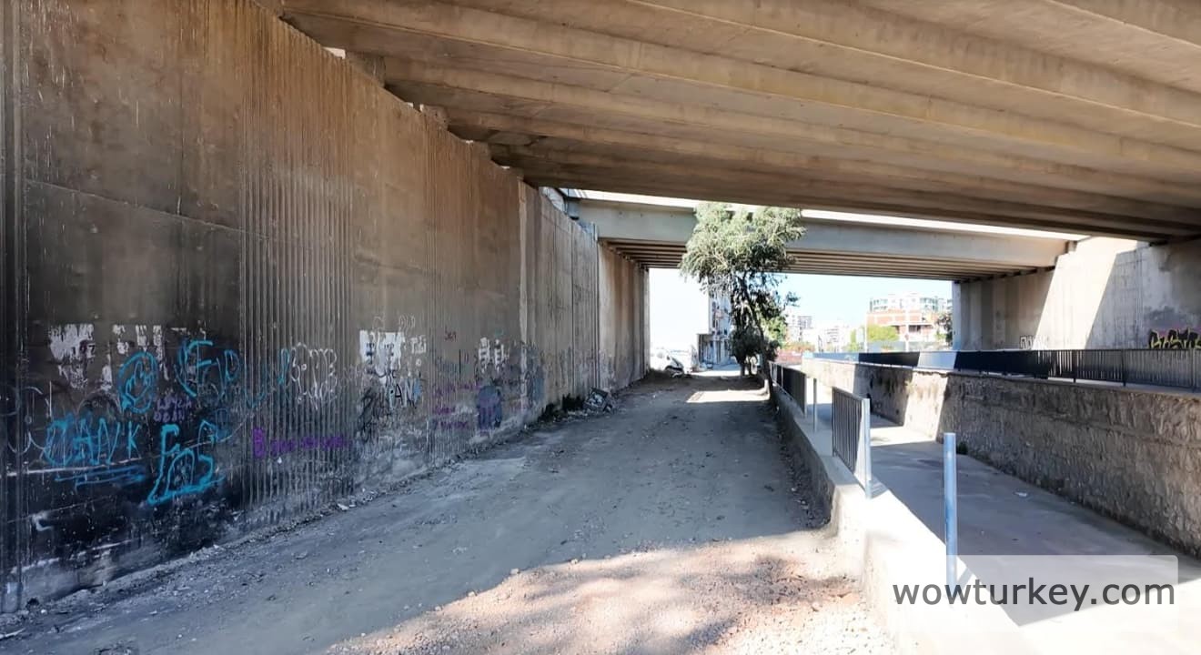 Screen Shot 2024-07-31 at 10.02.42