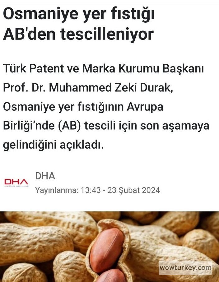 Screenshot_20240224-122857