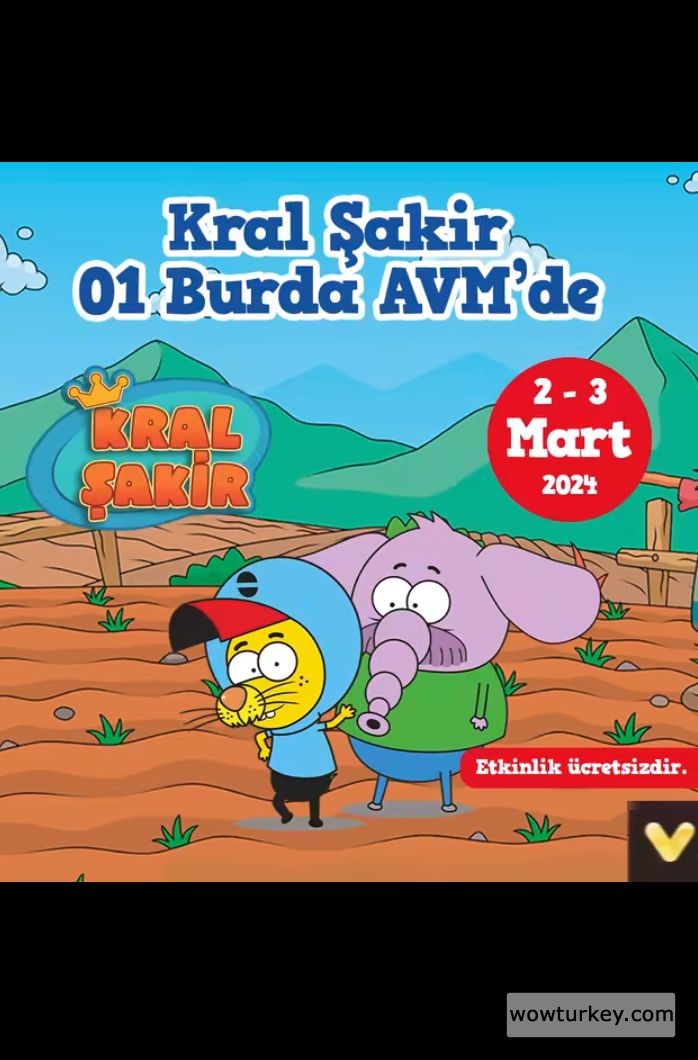 Screenshot_20240302-131340