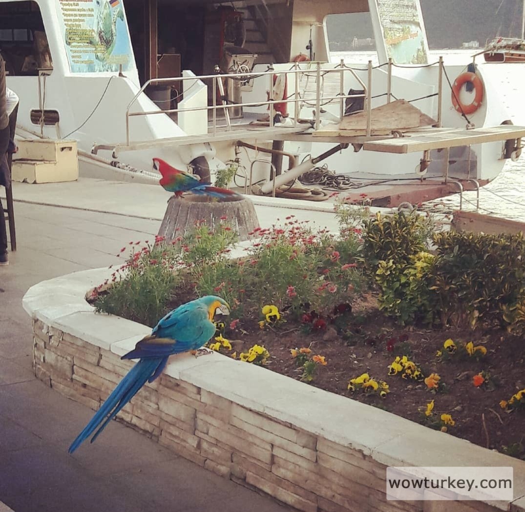 Screenshot_20240305_150759_Instagram