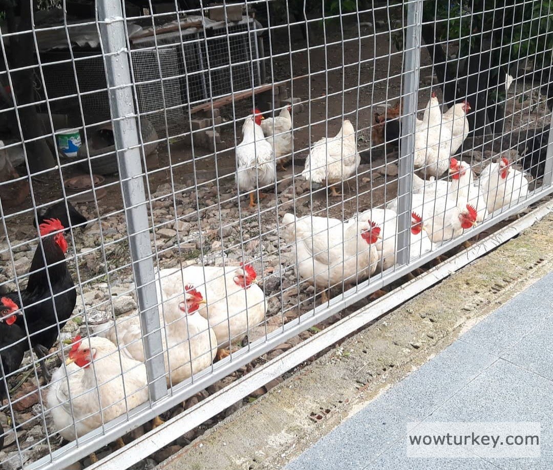 Screenshot_20240305_150935_Instagram