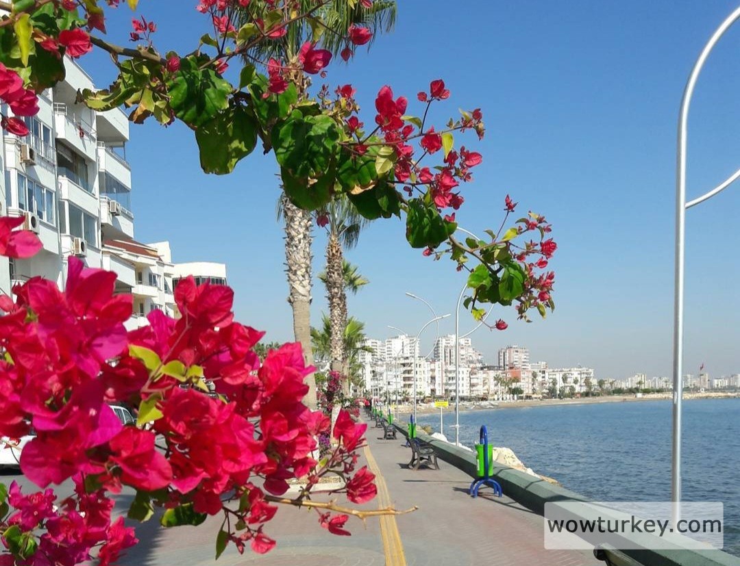 Screenshot_20240305_160628_Instagram