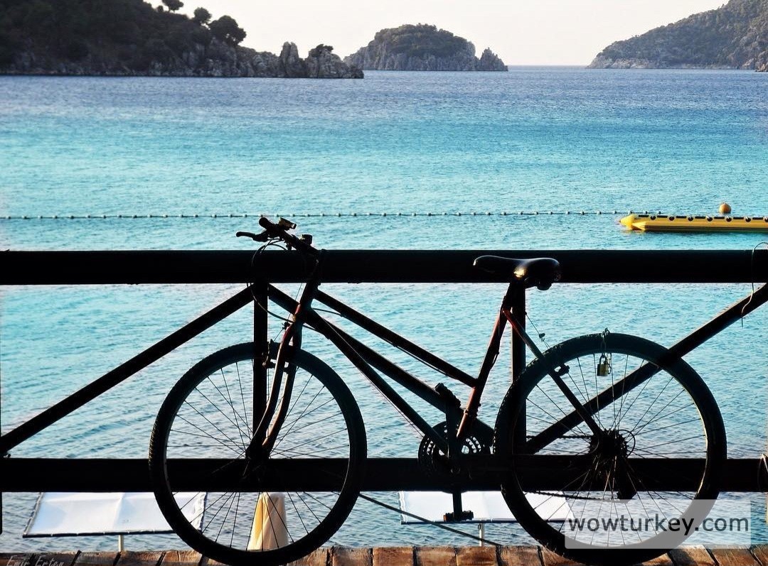 Screenshot_20240305_160706_Instagram