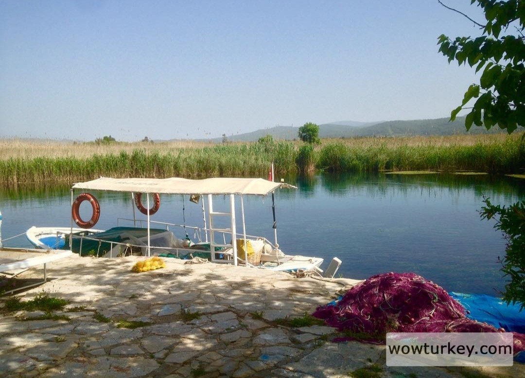 Screenshot_20240305_161842_Instagram