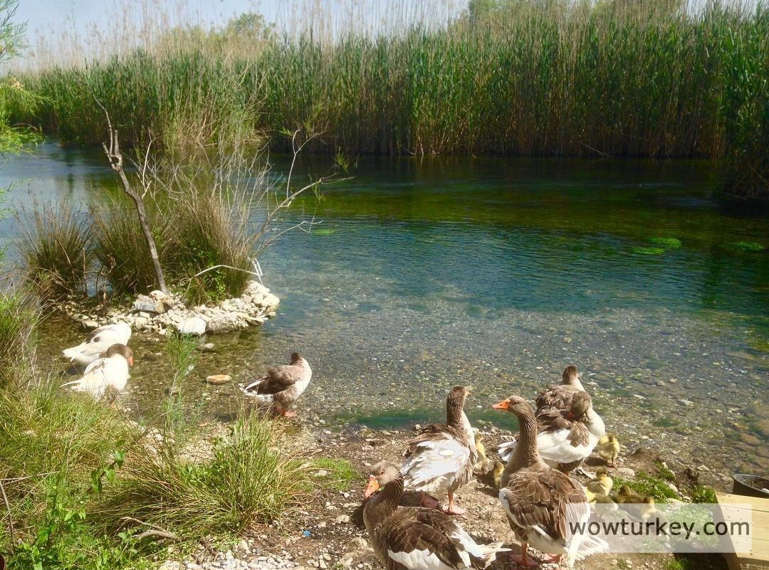 Screenshot_20240305_161909_Instagram