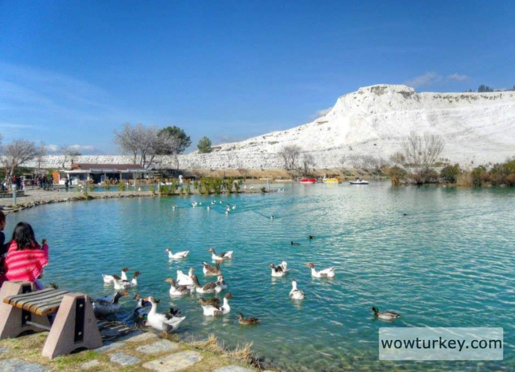 Screenshot_20240305_224535_Facebook