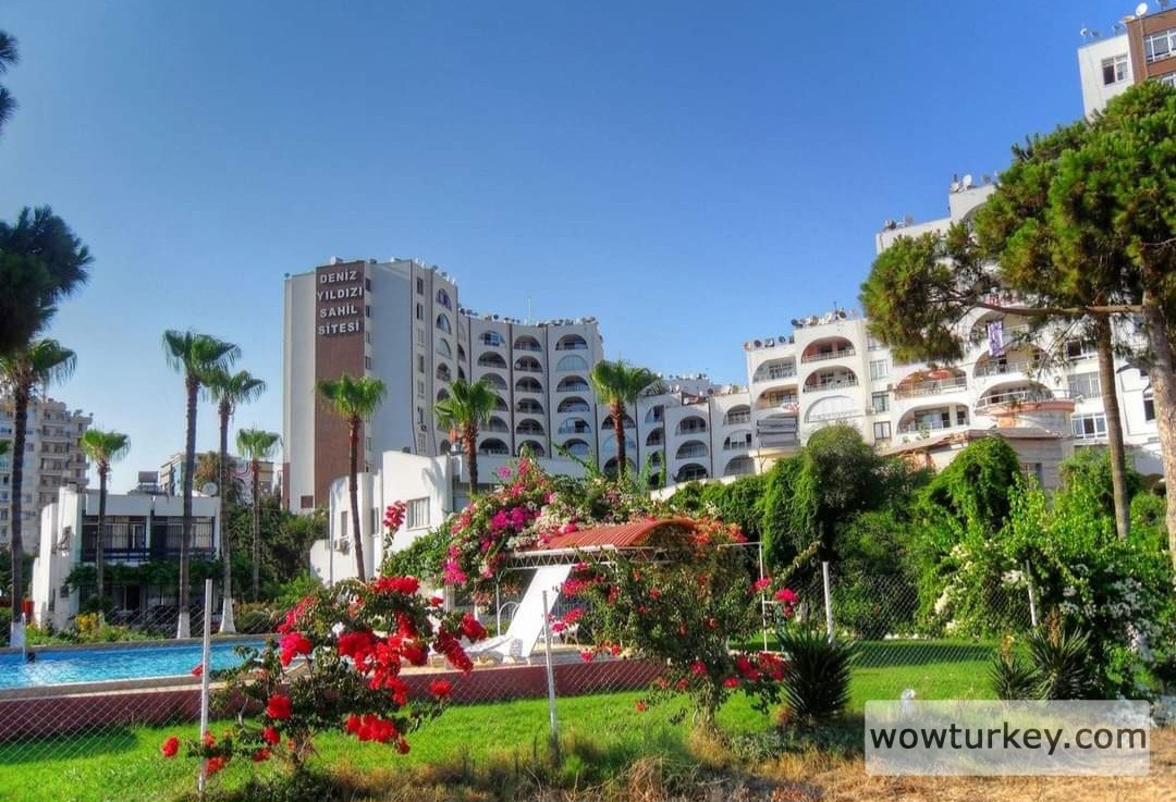 Screenshot_20240306_211124_Facebook