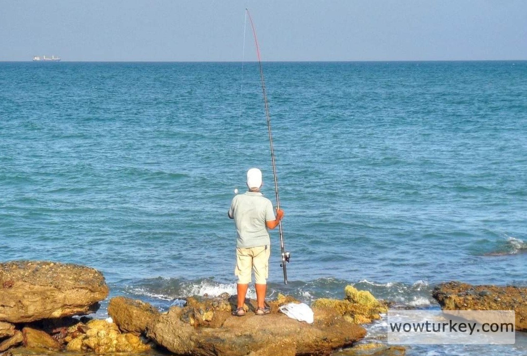 Screenshot_20240306_211159_Facebook