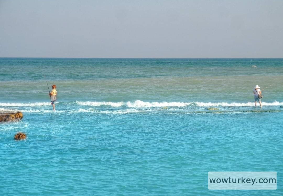 Screenshot_20240306_211226_Facebook