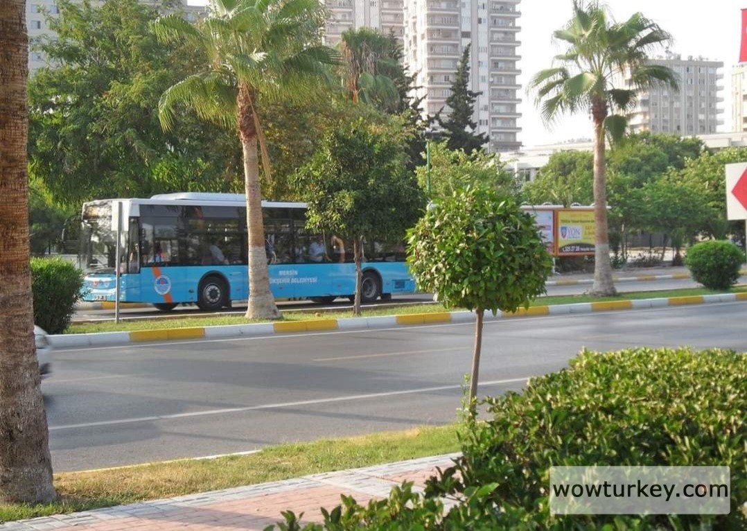 Screenshot_20240306_211417_Facebook