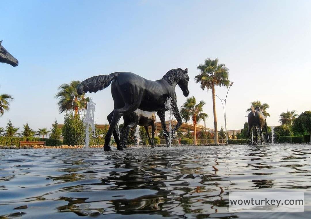 Screenshot_20240306_211443_Facebook