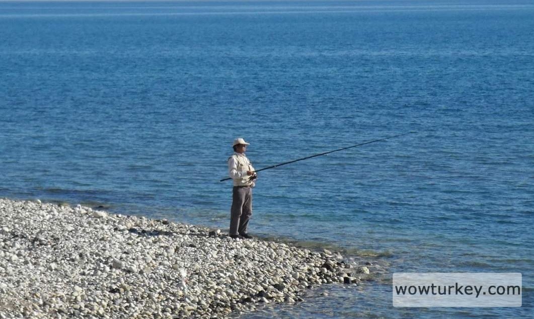 Screenshot_20240306_211614_Facebook