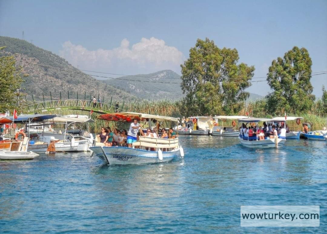 Screenshot_20240307_162032_Facebook