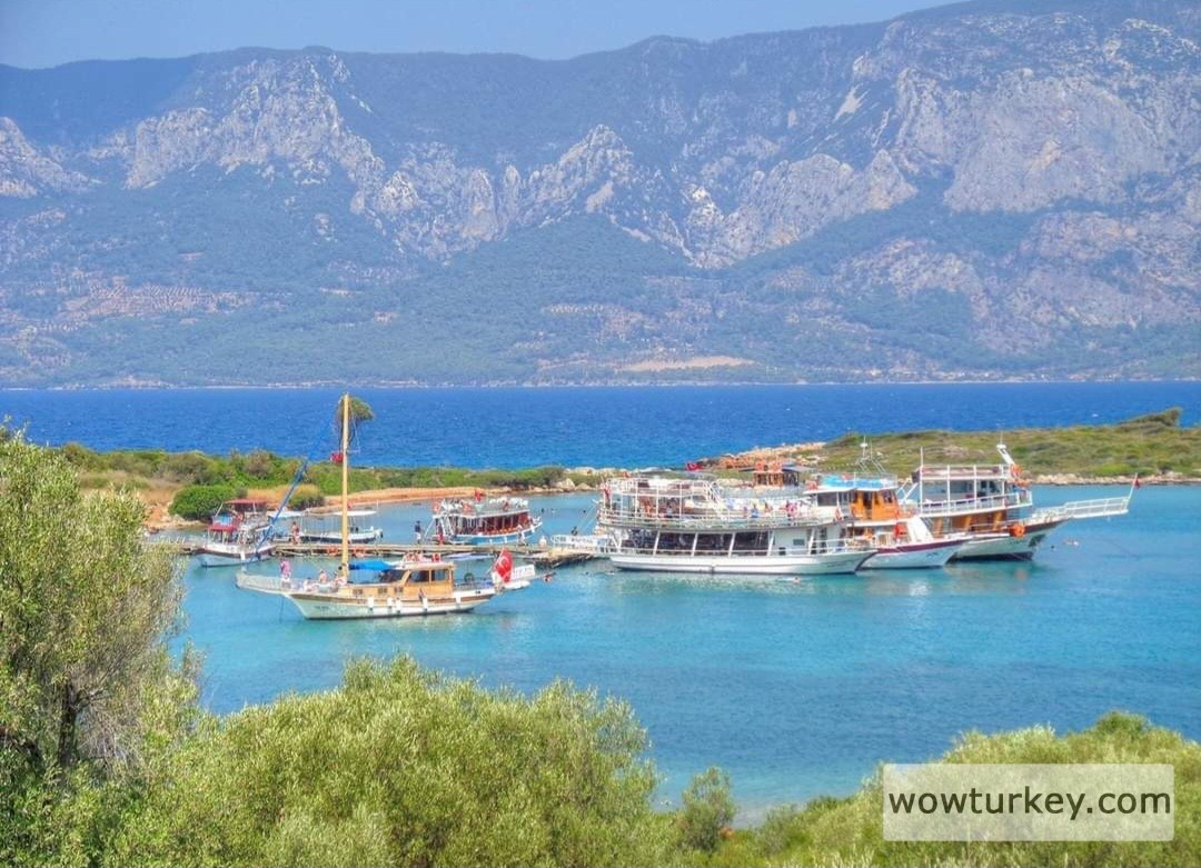 Screenshot_20240307_162432_Facebook