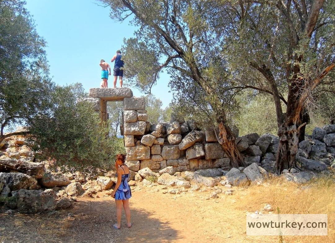 Screenshot_20240307_162443_Facebook