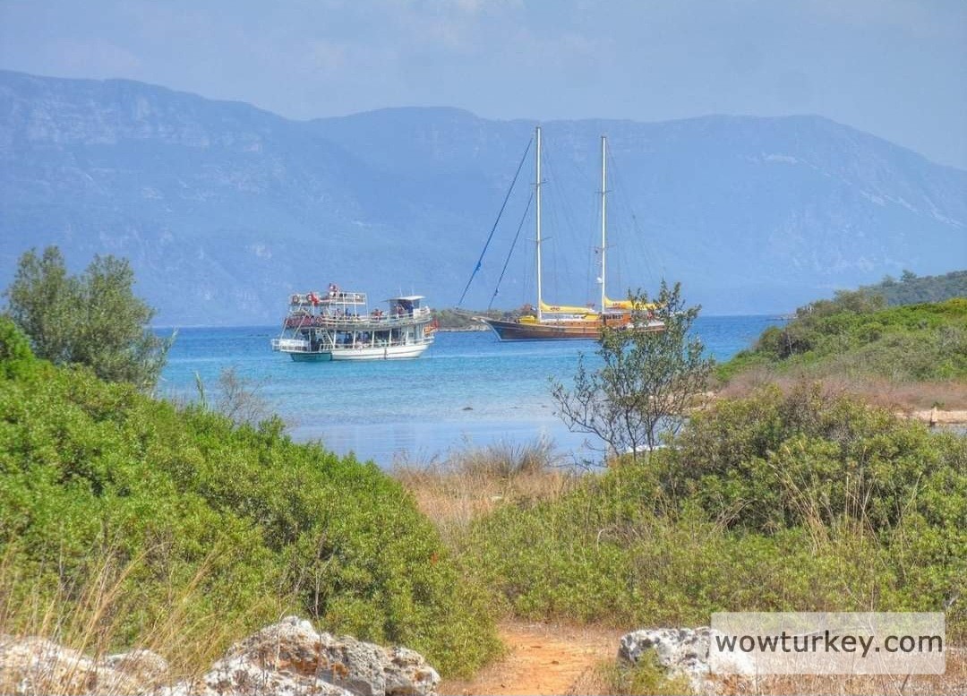 Screenshot_20240307_162450_Facebook