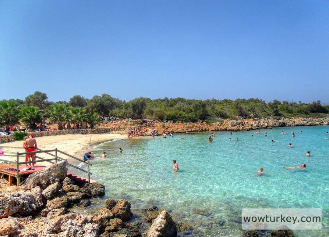 Screenshot_20240307_162511_Facebook