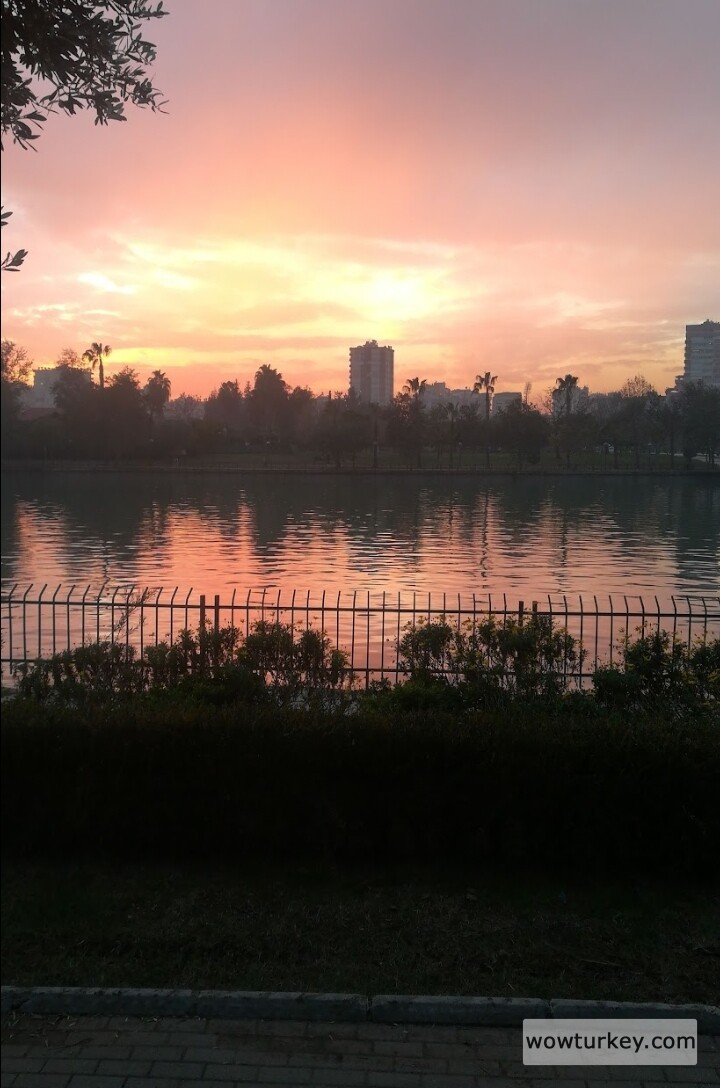 Screenshot_20240309-082934_1