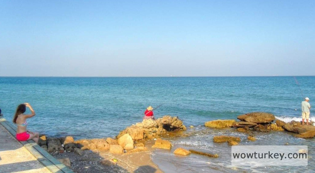 Screenshot_20240315_034109_Facebook