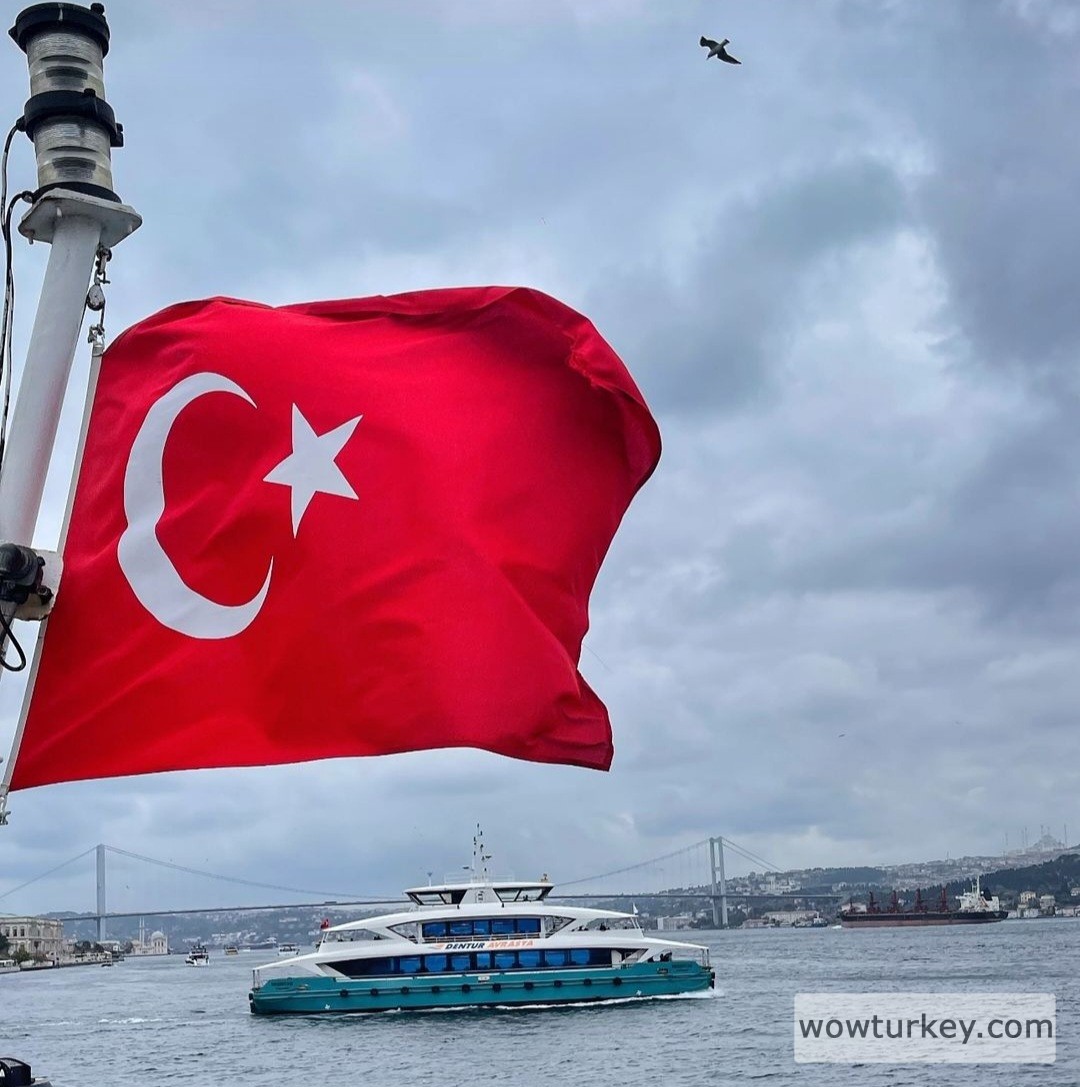 Screenshot_20240315_204634_Instagram