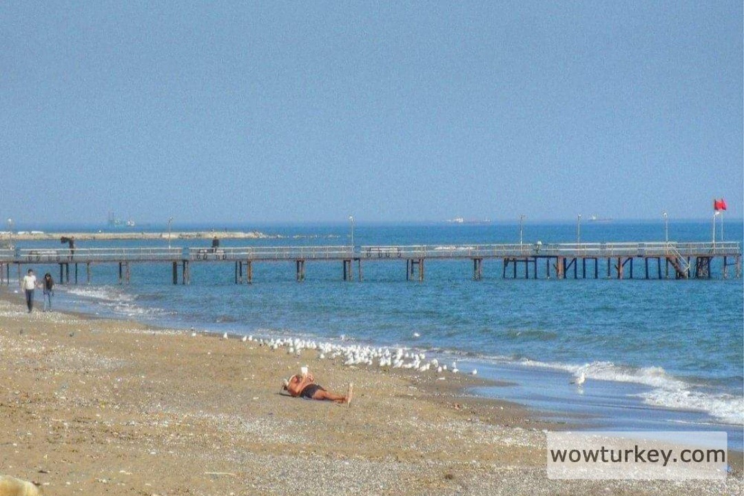 Screenshot_20240327_232943_Facebook