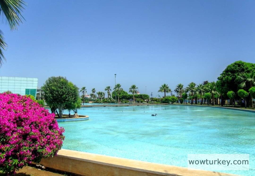 Screenshot_20240328_224914_Facebook