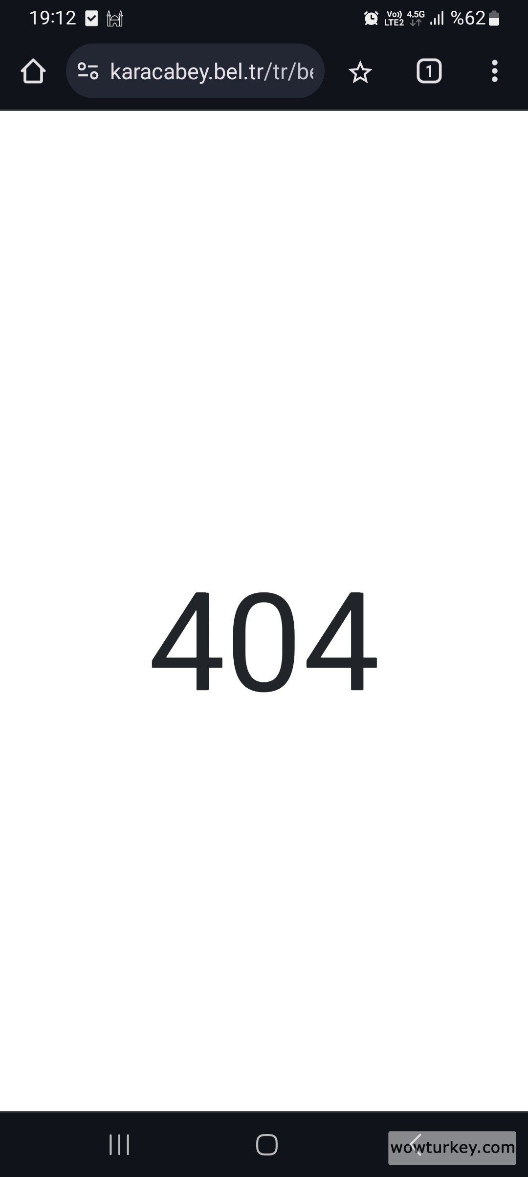 Screenshot_20240429_191204_Chrome