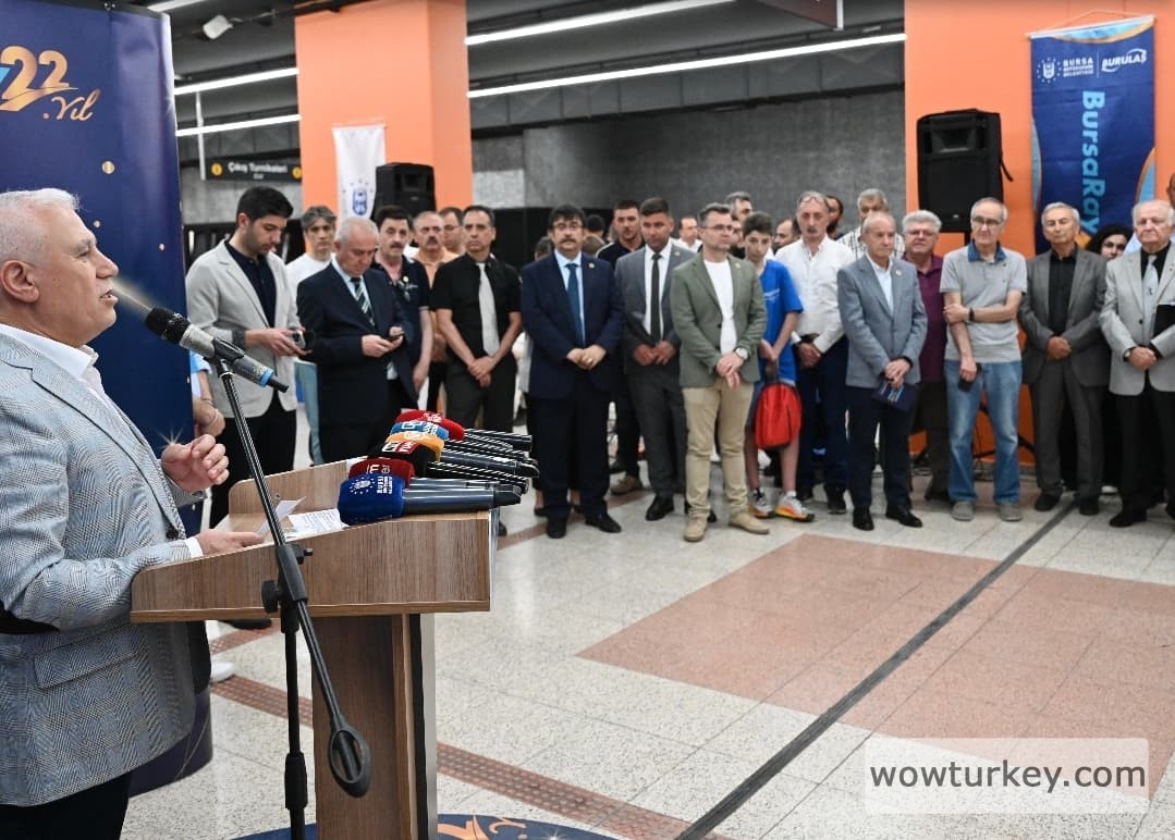 Screenshot_20240615_232528