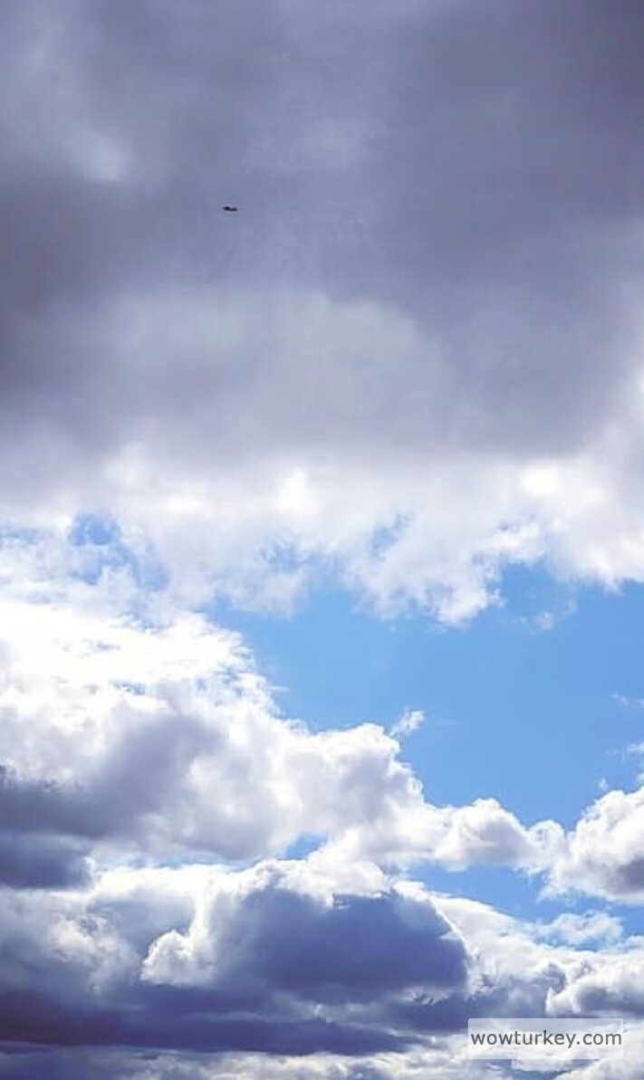 Screenshot_20240623-191706_1