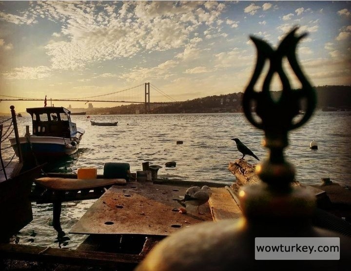 Screenshot_20240707-231046_Instagram