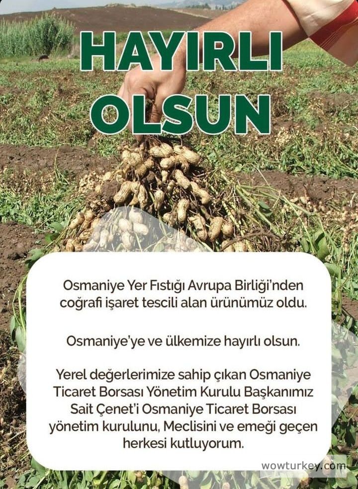 Screenshot_20240710-184020~2