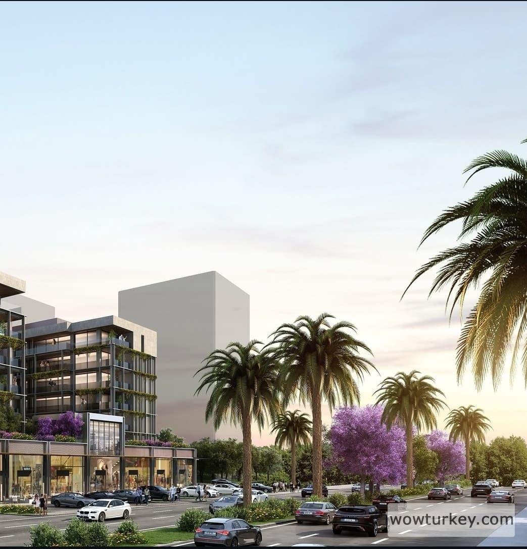 Screenshot_20240711-200742_Instagram