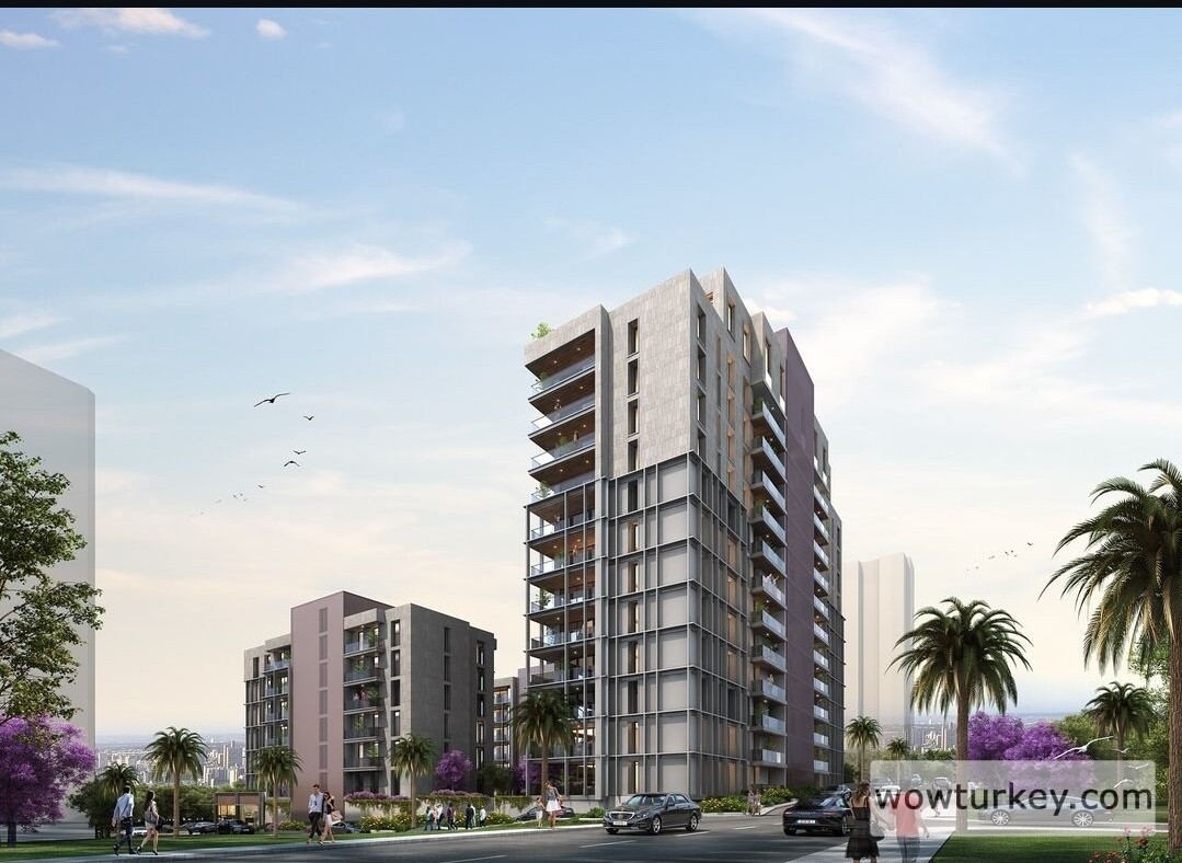 Screenshot_20240711-200815_Instagram