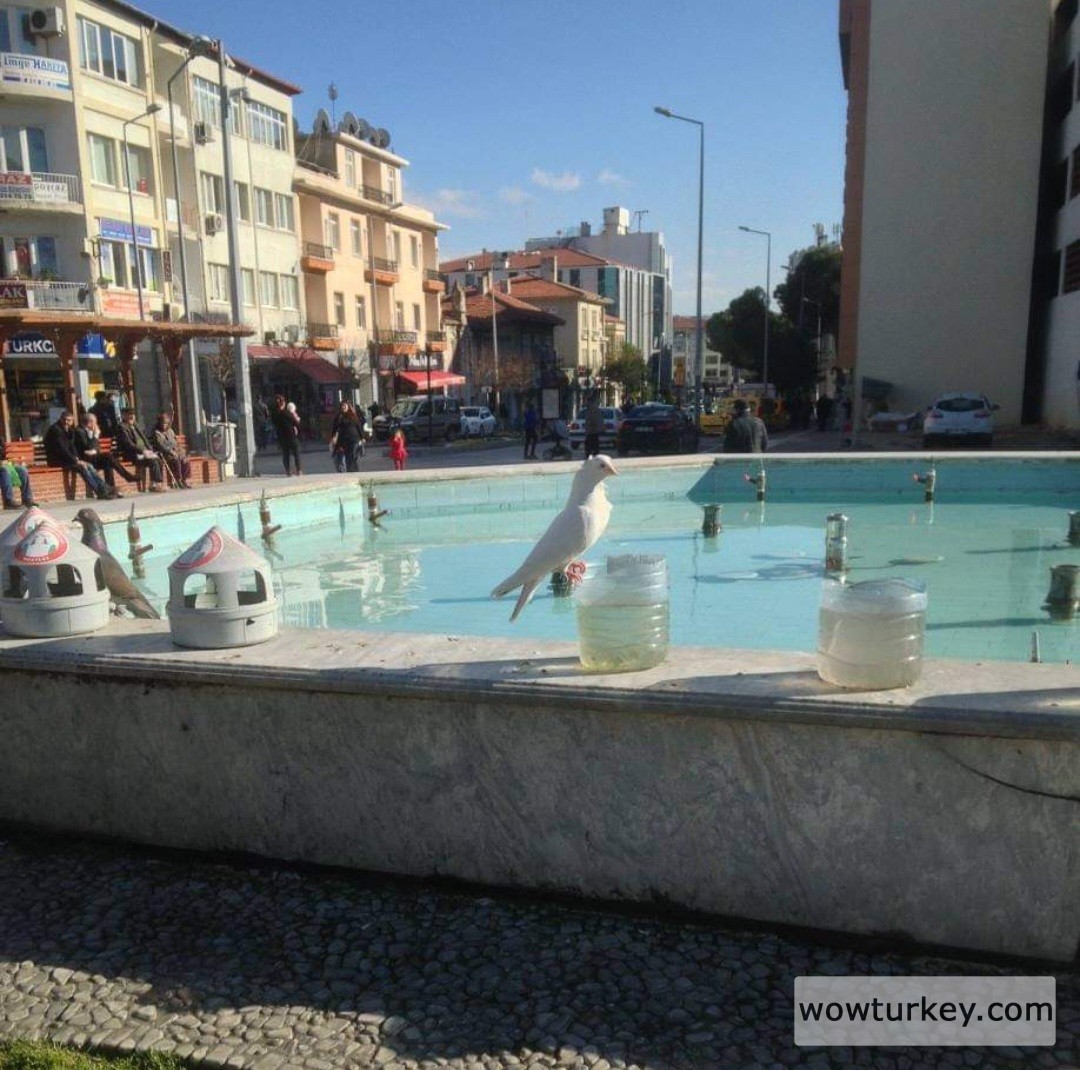 Screenshot_20240720_170115_Facebook