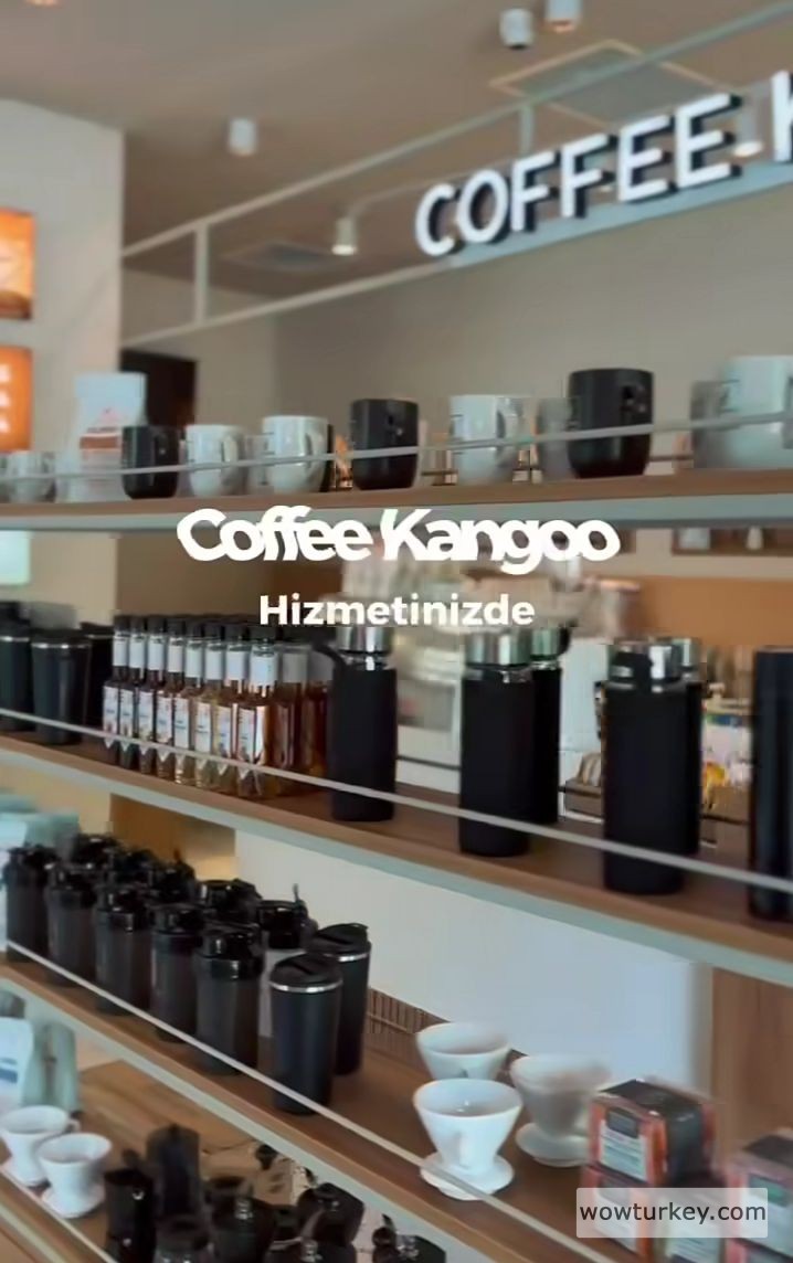 Screenshot_20240808-203408