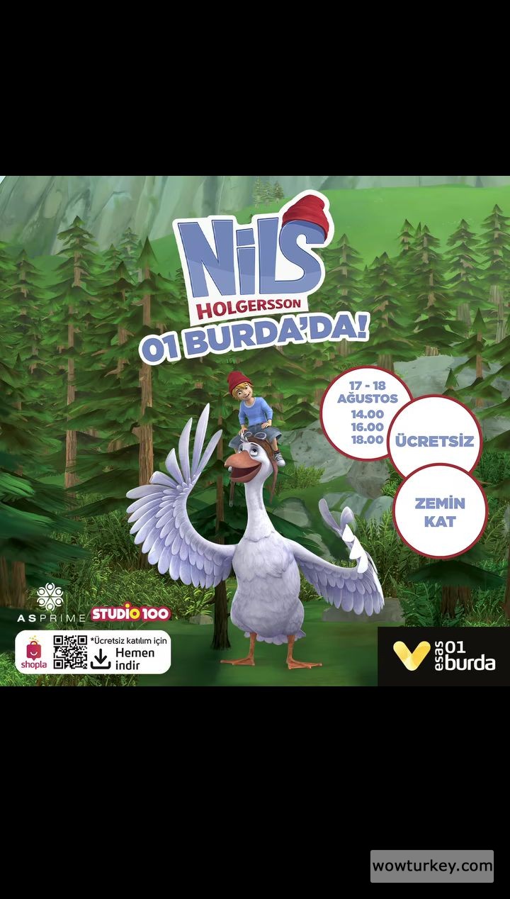 Screenshot_20240813-212457