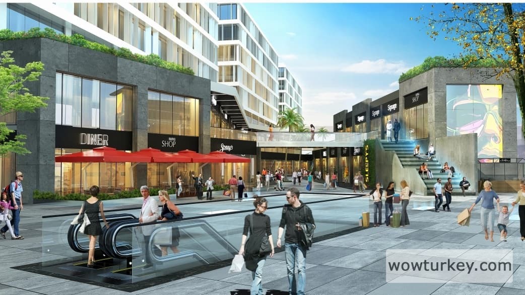 Screenshot_20240820-172930_Microsoft 365 (Office)