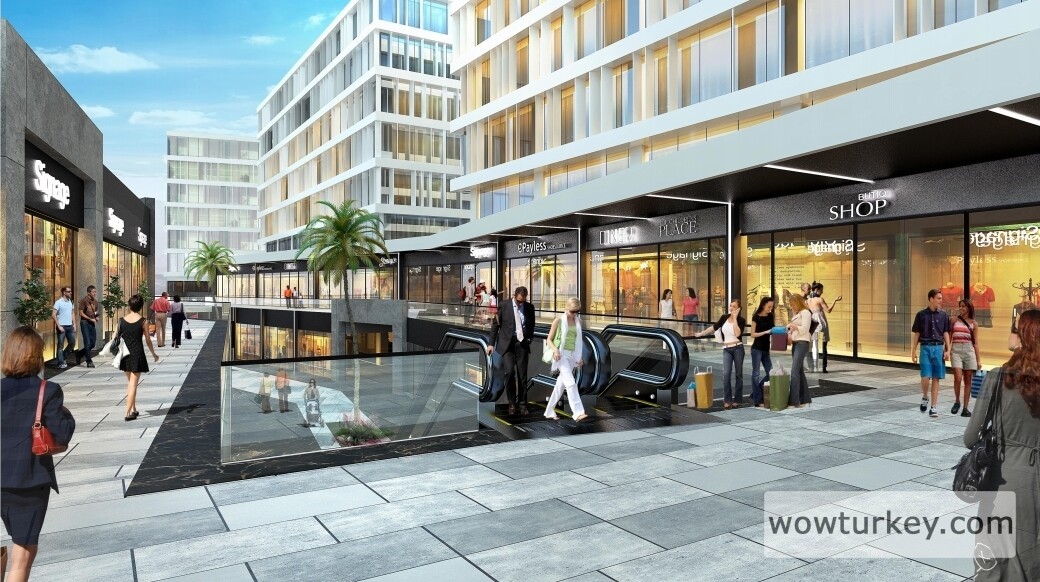 Screenshot_20240820-172951_Microsoft 365 (Office)