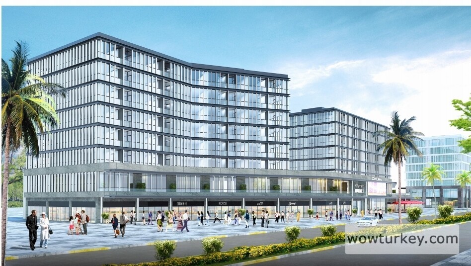 Screenshot_20240820-173048_Microsoft 365 (Office)