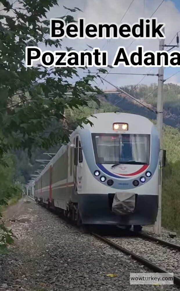 Screenshot_20240826-173949_1