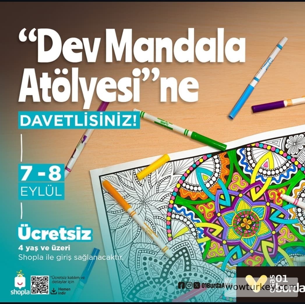 Screenshot_20240829-124947_Instagram