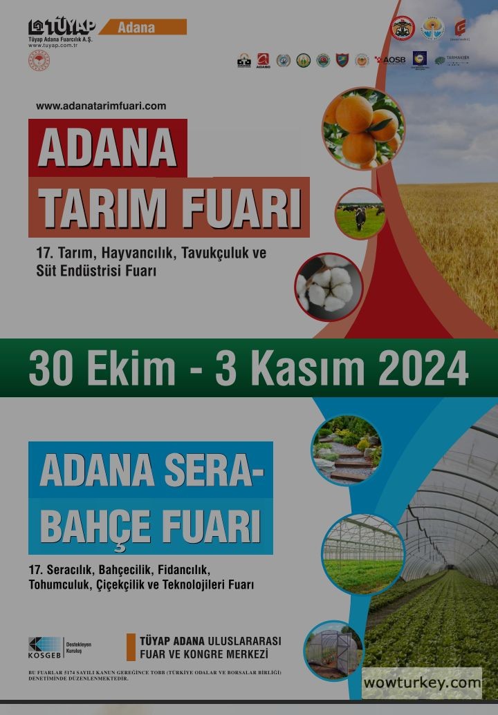 Screenshot_20240829-203215