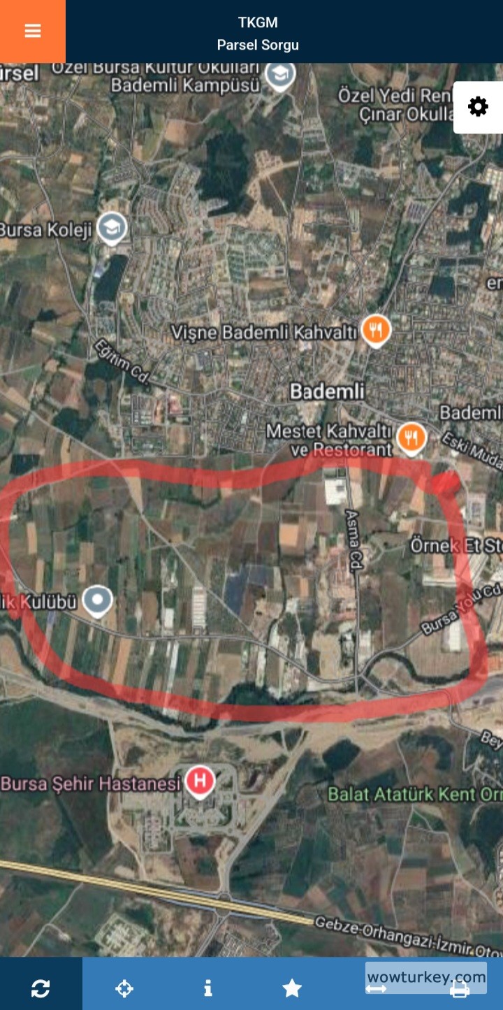 Screenshot_20240831_222713_ParselSorgu