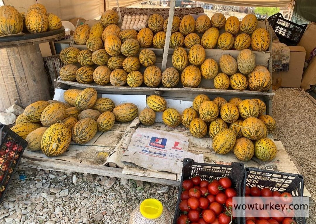 Screenshot_20240906_155259_Instagram