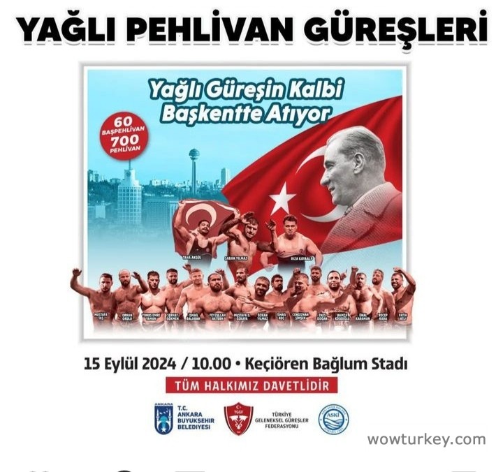 Screenshot_20240914_125200