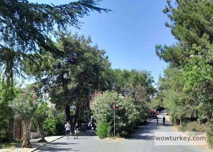 Screenshot_20240921_214557_Instagram