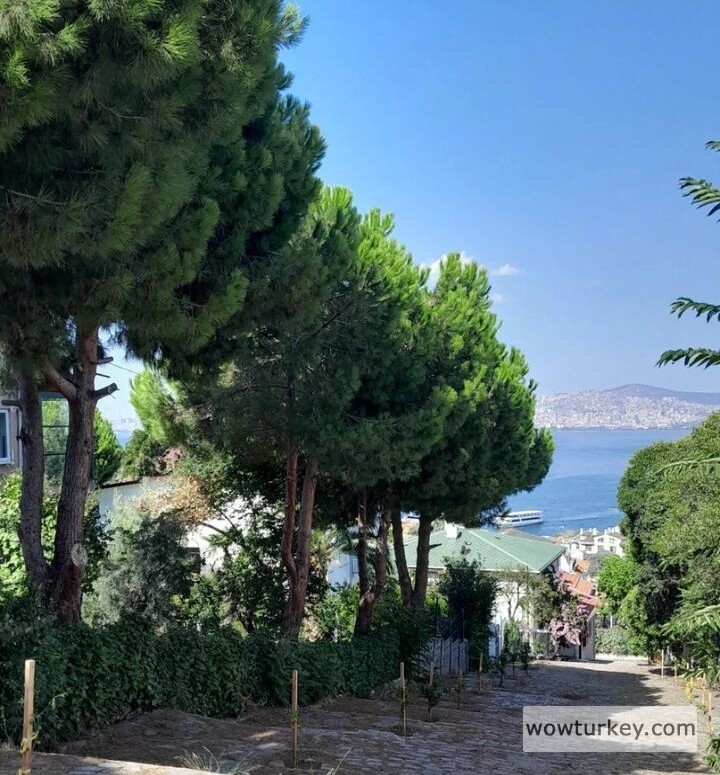 Screenshot_20240921_214648_Instagram