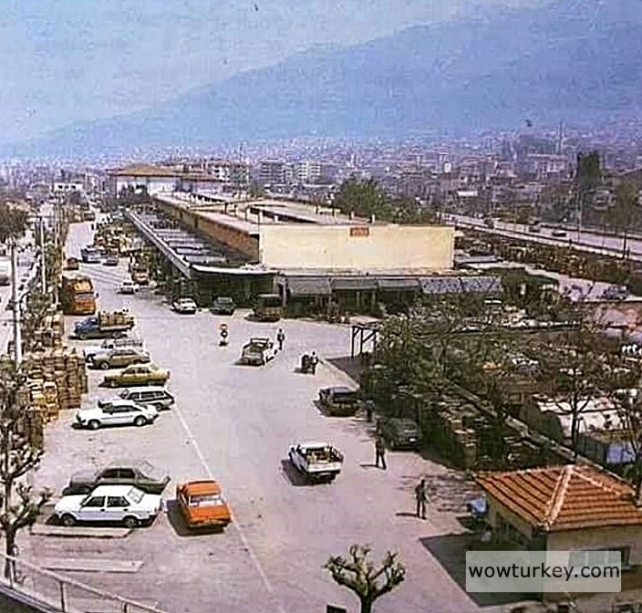 sebzemeyvehali1980