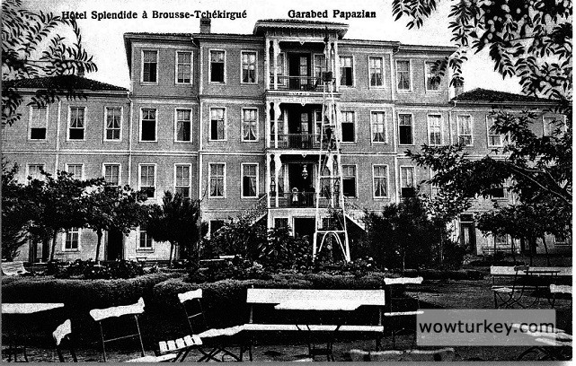 splendidoteliçekirge