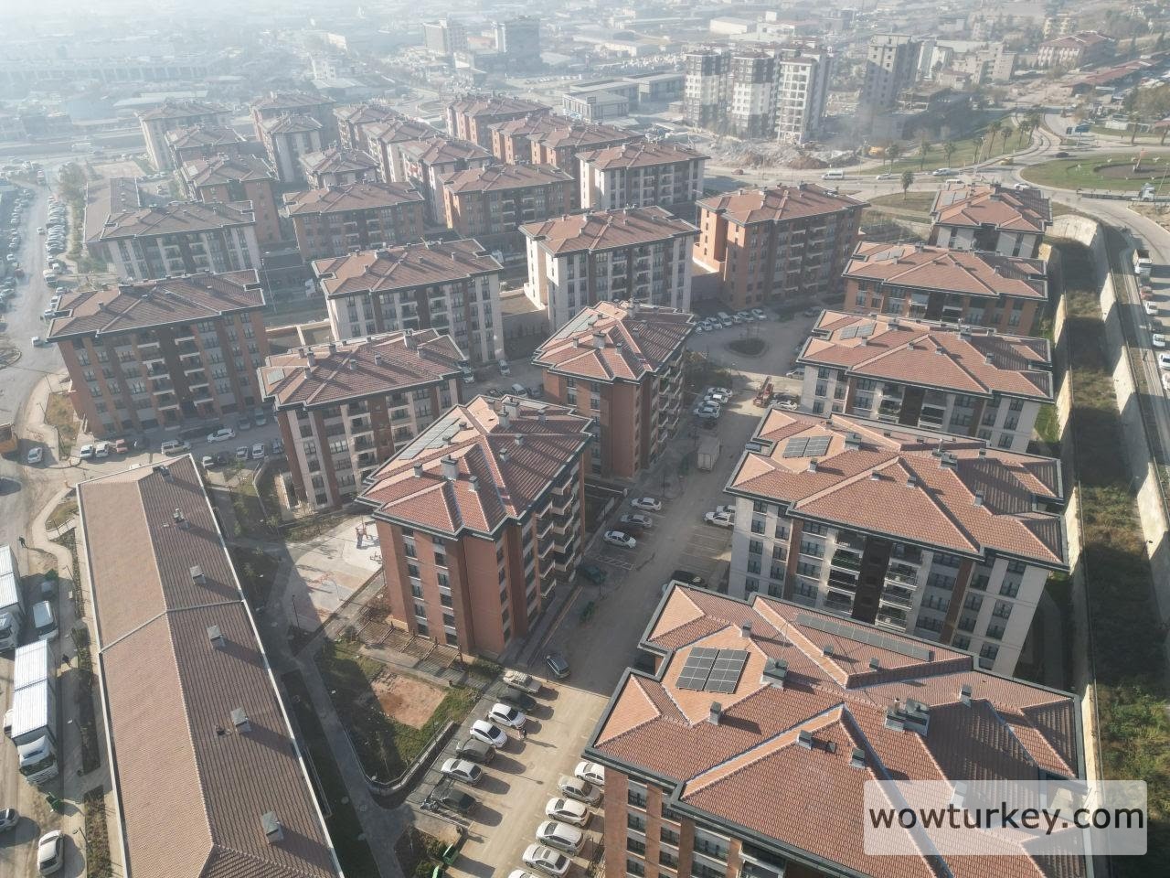 ssC90_1766082082_5056 (1).jpg